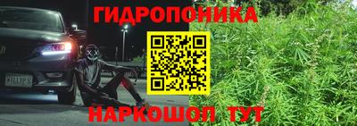 сатива Краснодар