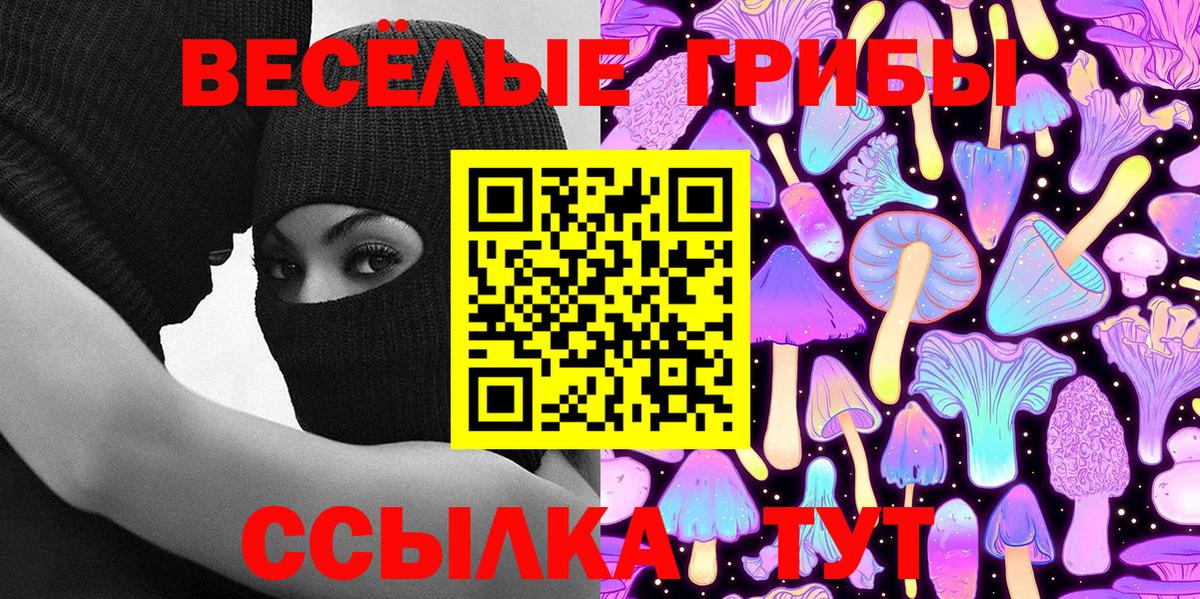 Ипатово  Псилоцибиновые грибы MAGIC MUSHROOMS  Вход с VPN 